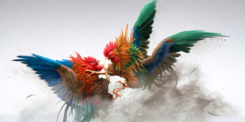 Đá gà đầy kịch tính